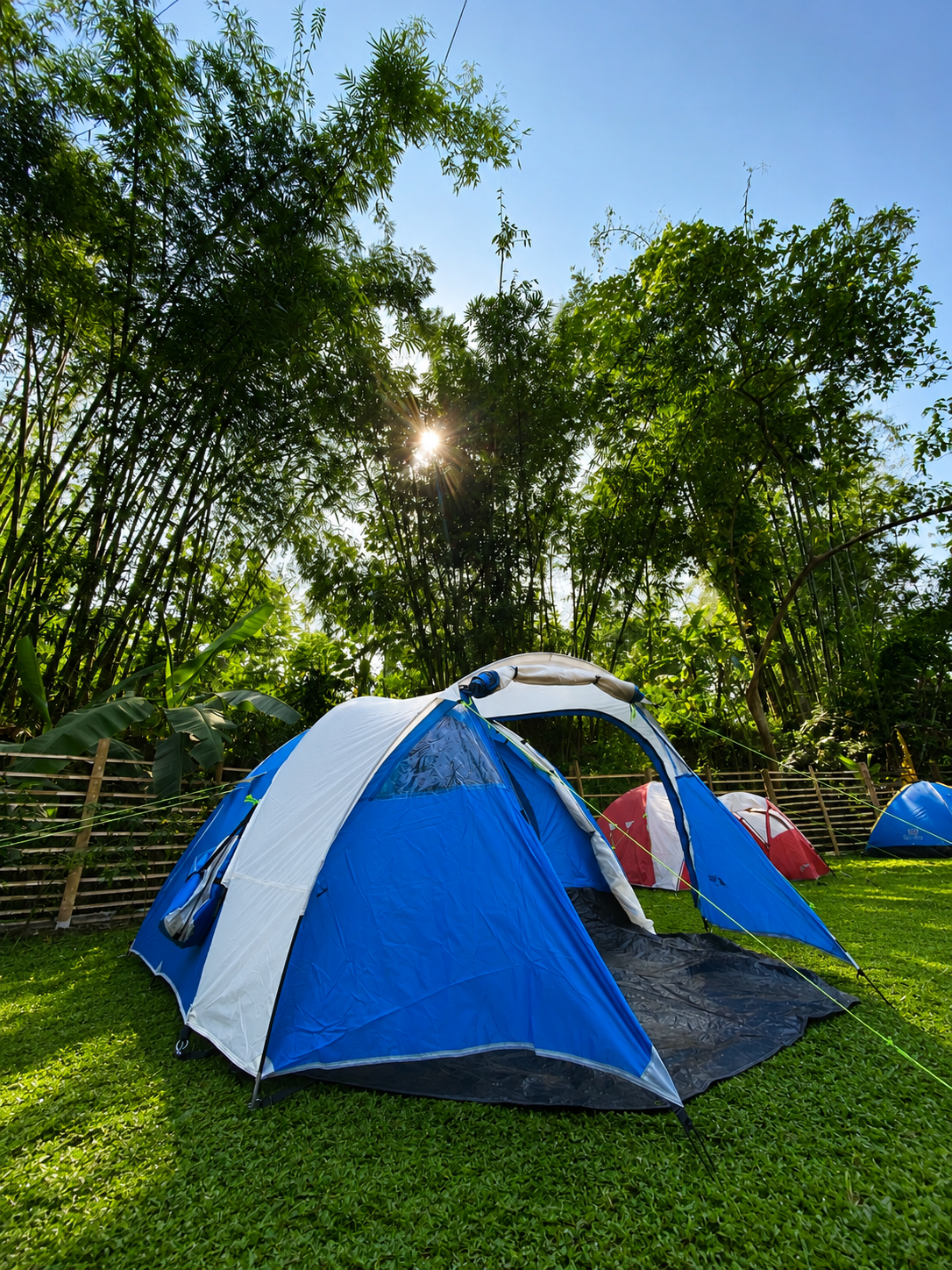 Pemandangan bukit berkabut